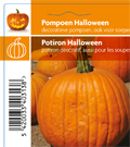 Pompoen Halloween (tray 12 pot)